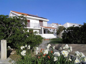 Studio in Pag/Insel Pag 15802